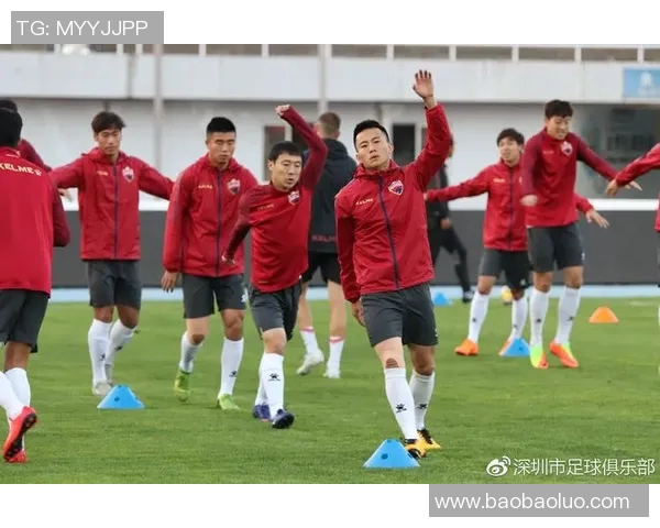 米兰队迎战舒肯迪队全力争胜展现实力与团队合作精神