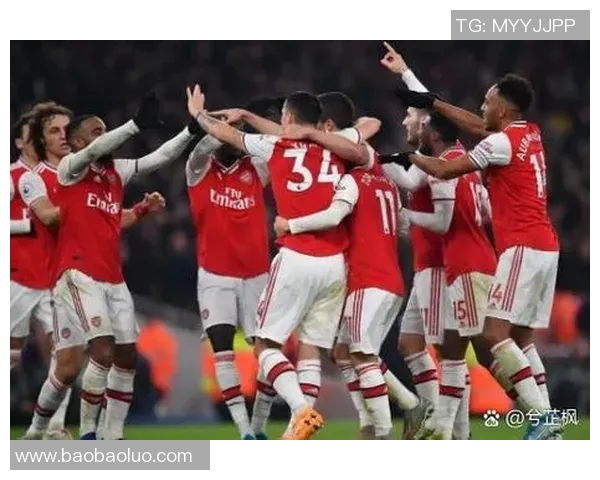 布琳狮子与墨尔本骑士激战正酣谁能在这场对决中笑到最后